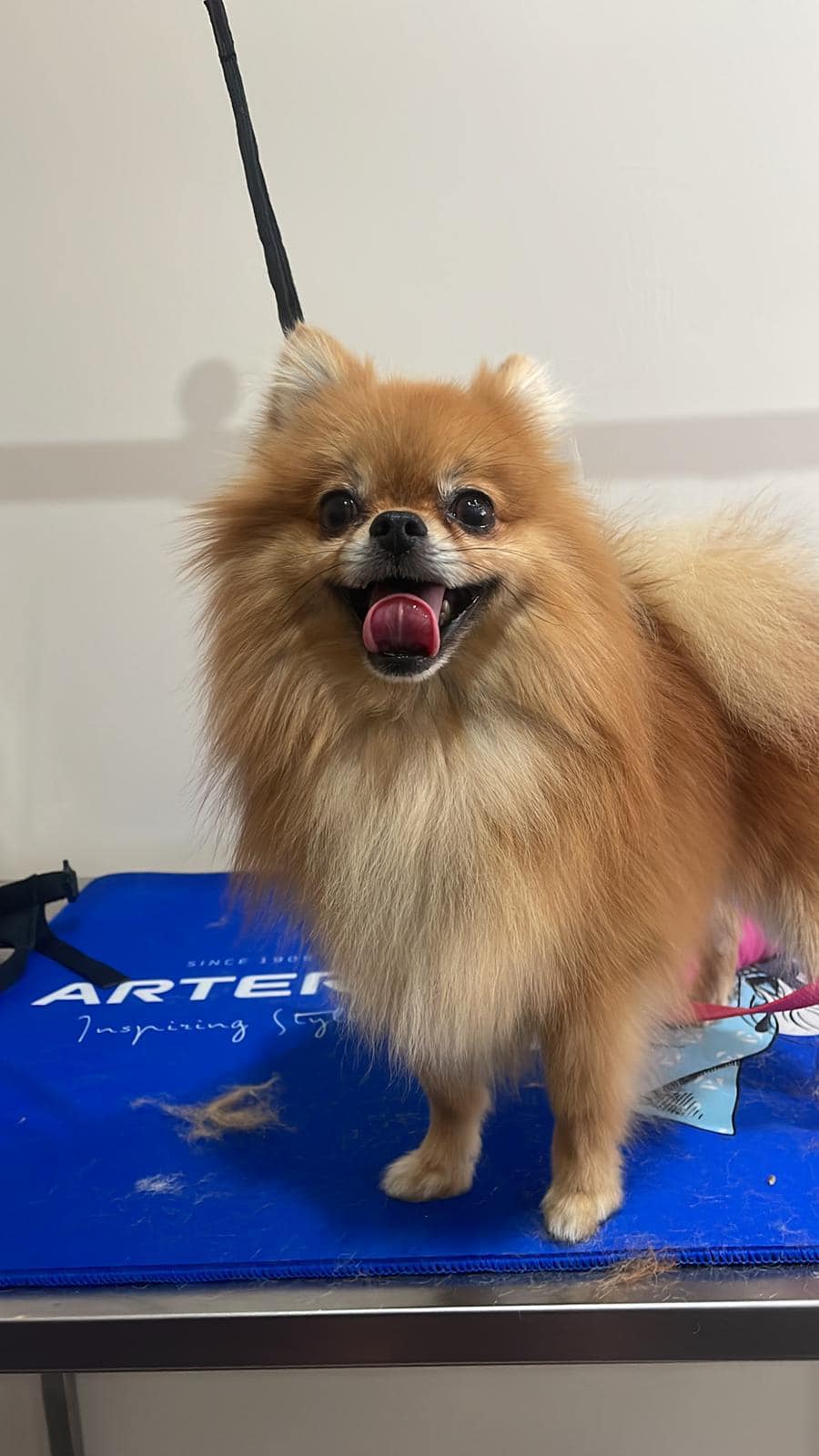 De-Shedding Treatment