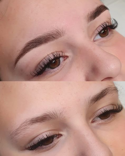 Eyebrows Tint
